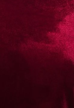 Nly by Nelly SPLIT DRESS - Etuikleid in Weinrot für Damen | Elegantes Abendkleid -Nly by Nelly Verkaufsladen 5cf2bba987124533924d5bfd6c7626da